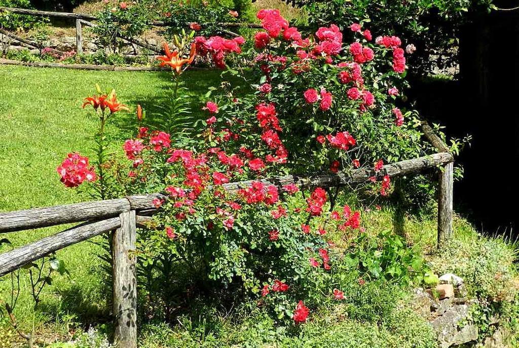 B&B Il Casale Delle Pianacce Castiglione di Garfagnana Εξωτερικό φωτογραφία