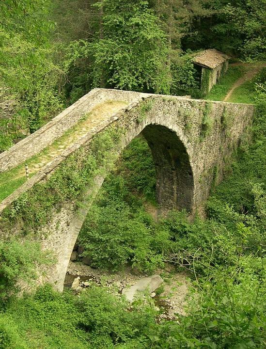 B&B Il Casale Delle Pianacce Castiglione di Garfagnana Εξωτερικό φωτογραφία