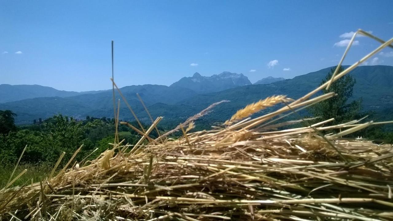 B&B Il Casale Delle Pianacce Castiglione di Garfagnana Εξωτερικό φωτογραφία